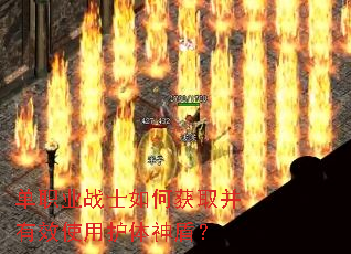 ��ְҵսʿ��λ�ȡ����Чʹ�û�����ܣ�