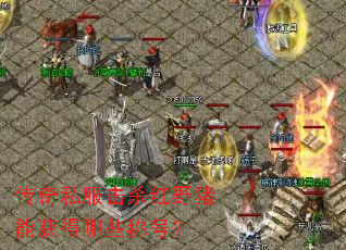 ����˽����ɱ��Ұ���ܻ����Щ�ƺţ�