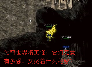 �������羫Ӣ�֣����Ǿ����ж�ǿ���ֲ���ʲô���ܣ�
