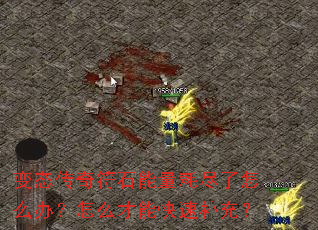 ��̬�����ʯ�����ľ�����ô�죿��ô���ܿ��ٲ��䣿
