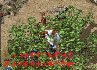1.76����汾��ʹ���Զ�ս�����ܻ������Щ�׶ˣ�