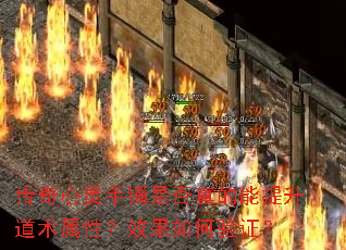 �������������Ƿ�����������������ԣ�Ч�������֤��