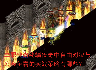 ��ְҵ΢�ն˴��������ɶԾ��빫�����Ե�ʵս��������Щ��