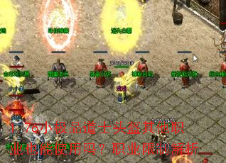 1.76С��Ʒ��ʿͷ������ְҵҲ��ʹ����ְҵ���ƽ���