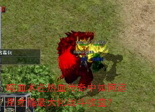 ��Ѫ������Ѫ������������ò������ս�����棿