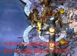 ����SF��ʦ��θ�Ч�����������ͷ�������������������Щ��