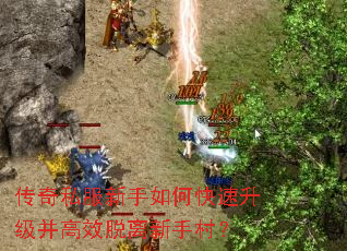 ����˽��������ο�����������Ч�������ִ壿