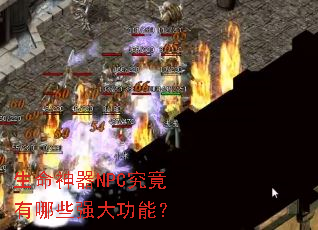 ��������NPC��������Щǿ���ܣ�