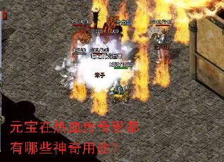 Ԫ������Ѫ�����ﶼ����Щ������;��