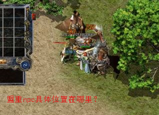 ����npc����λ�������
