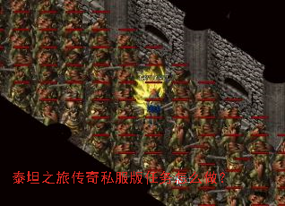 ̩̹֮�ô���˽����������ô����