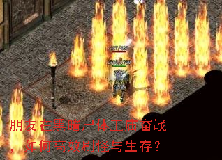 �����ںڰ�ʬ��������ս����θ�Чˢ�������棿
