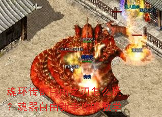 �껷��������֮����ô�棿�����������ֹ��Խ�ѧ