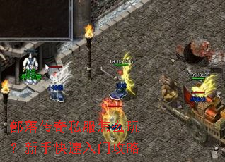 ���䴫��˽����ô�棿���ֿ������Ź���