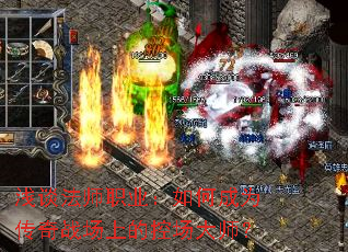 ǳ̸��ʦְҵ����γ�Ϊ����ս���ϵĿس���ʦ��