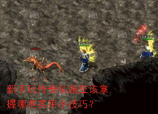 �����洫��˽��Ӧ��������Щʵ��С���ɣ�