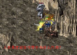 �˲ι��ڳ��䴫������ʲô���ã�
