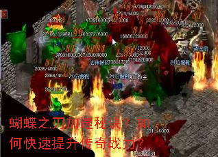 ����֮�м����ؾ�����ο�����������ս����