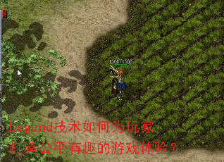 Legend�������Ϊ��Ҵ��칫ƽ��Ȥ����Ϸ���飿