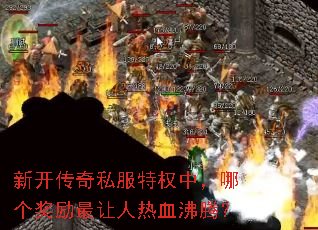�¿�����˽����Ȩ�У��ĸ�������������Ѫ���ڣ�