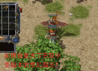 ����޸�������˫�б�汾�ĳ���©����