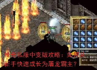 ����˽���б�湥�ԣ���δ����ֿ��ٳɳ�Ϊ����������