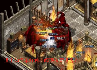��ʿ��ε�����������������磿