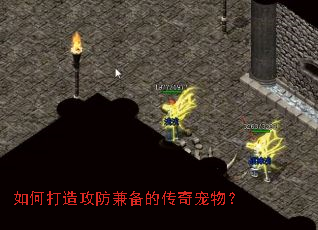 ��δ��칥���汸�Ĵ�����