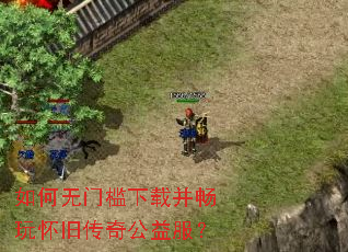 ������ż����ز����滳�ɴ��湫�����