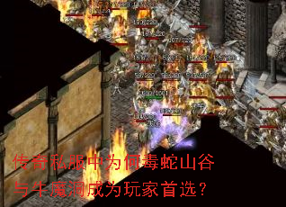 ����˽����Ϊ�ζ���ɽ����ţħ����Ϊ�����ѡ��