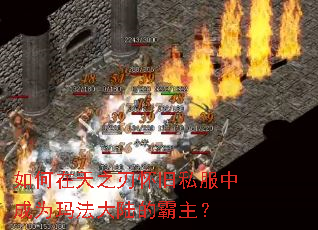 �������֮�л���˽���г�Ϊ�귨��½�İ�����