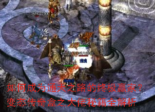 ��γ�Ϊͨ��֮·���ռ�Ӯ�ң���̬�����֮�����ؼ�ȫ����