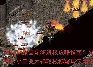 ����˽������SF�ռ�����ָ�ϣ���δ�С�ױ�������ɳư��귨��½��