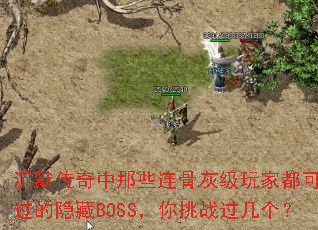 ��Ĭ��������Щ���ǻҼ���Ҷ����ܴ���������BOSS������ս��������