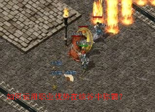 �������ְҵ������Ͽ���гưԣ�
