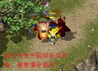 ���Ŵ����޼�����ȡ���ԣ����ﱬ����ߣ�