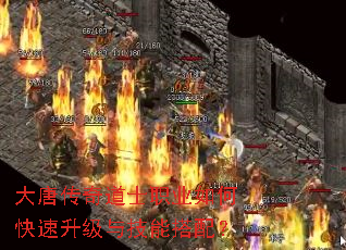 ���ƴ����ʿְҵ��ο��������뼼�ܴ��䣿