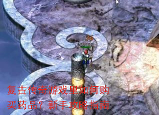 ���Ŵ�����Ϸ����ι���ҩƷ�����ֹ���ָ��