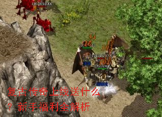 ���Ŵ���������ʲô�����ָ���ȫ����