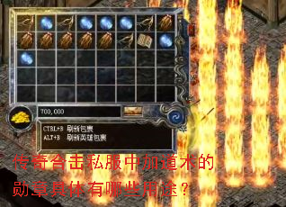 ����ϻ�˽���мӵ�����ѫ�¾�������Щ��;��