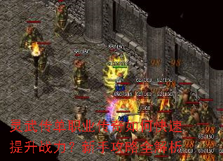 ���䴫��ְҵ������ο�������ս�������ֹ���ȫ����