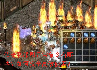 ����˽��ˢԪ����������Щ����ΰ�ȫ��Чʹ�ã�