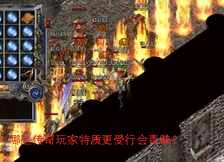 ��Щ����������ʸ����л�������