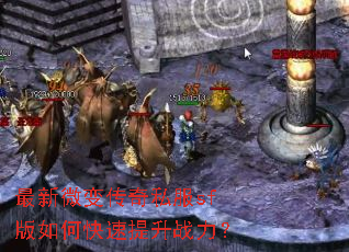 ����΢�䴫��˽��sf����ο�������ս����