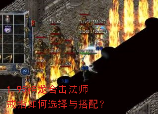 1.95�����ϻ���ʦ��ָ���ѡ������䣿