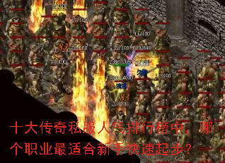 ʮ����˽���������а��У��ĸ�ְҵ���ʺ����ֿ����𲽣�