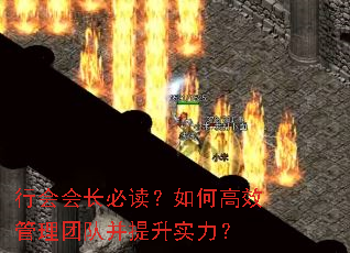 �л�᳤�ض�����θ�Ч�����ŶӲ�����ʵ����