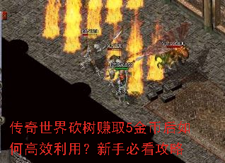 �������翳��׬ȡ5��Һ���θ�Ч���ã����ֱؿ�����