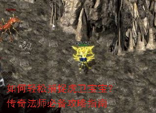 ������ɲ�׽�������������淨ʦ�ر�����ָ��