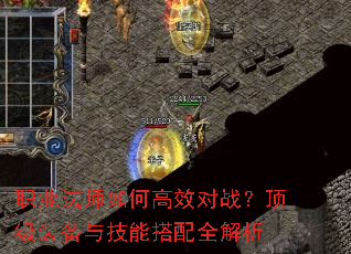 ְҵ��ʦ��θ�Ч��ս������װ���뼼�ܴ���ȫ����